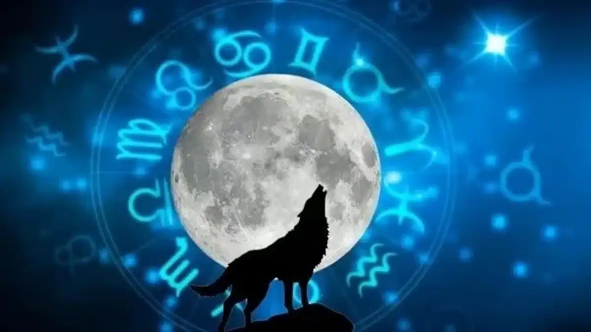 La fortune et le succès viendront dans la vie de ces signes grâce à la Lune du Loup
